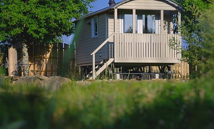Elen - Brook Cottage Shepherd Huts